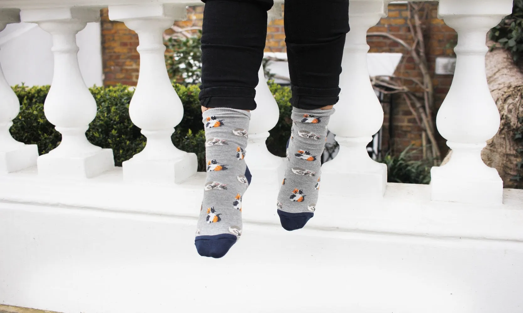 All Over Cats Print Grey Women's Socks