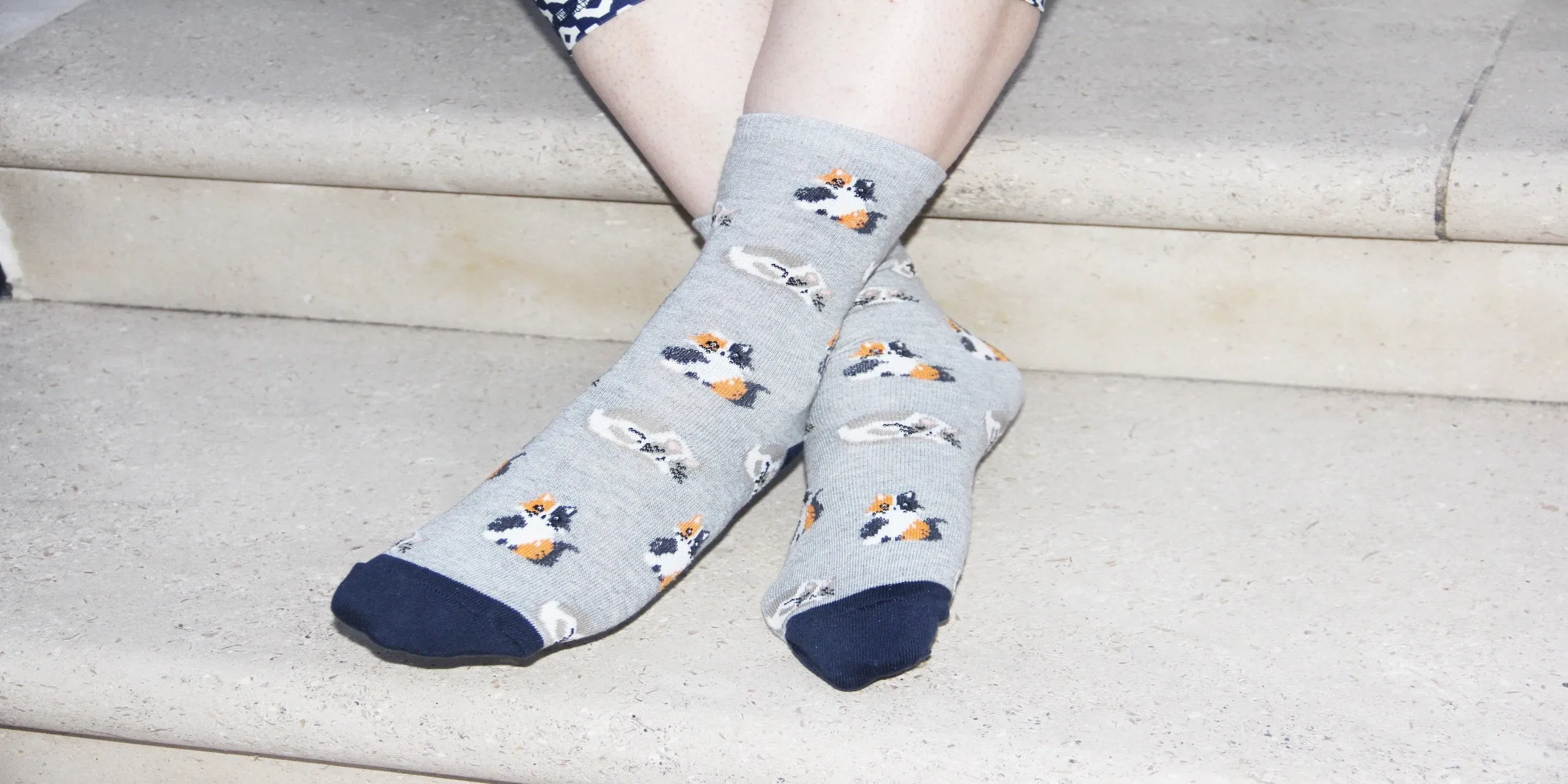 All Over Cats Print Grey Women's Socks