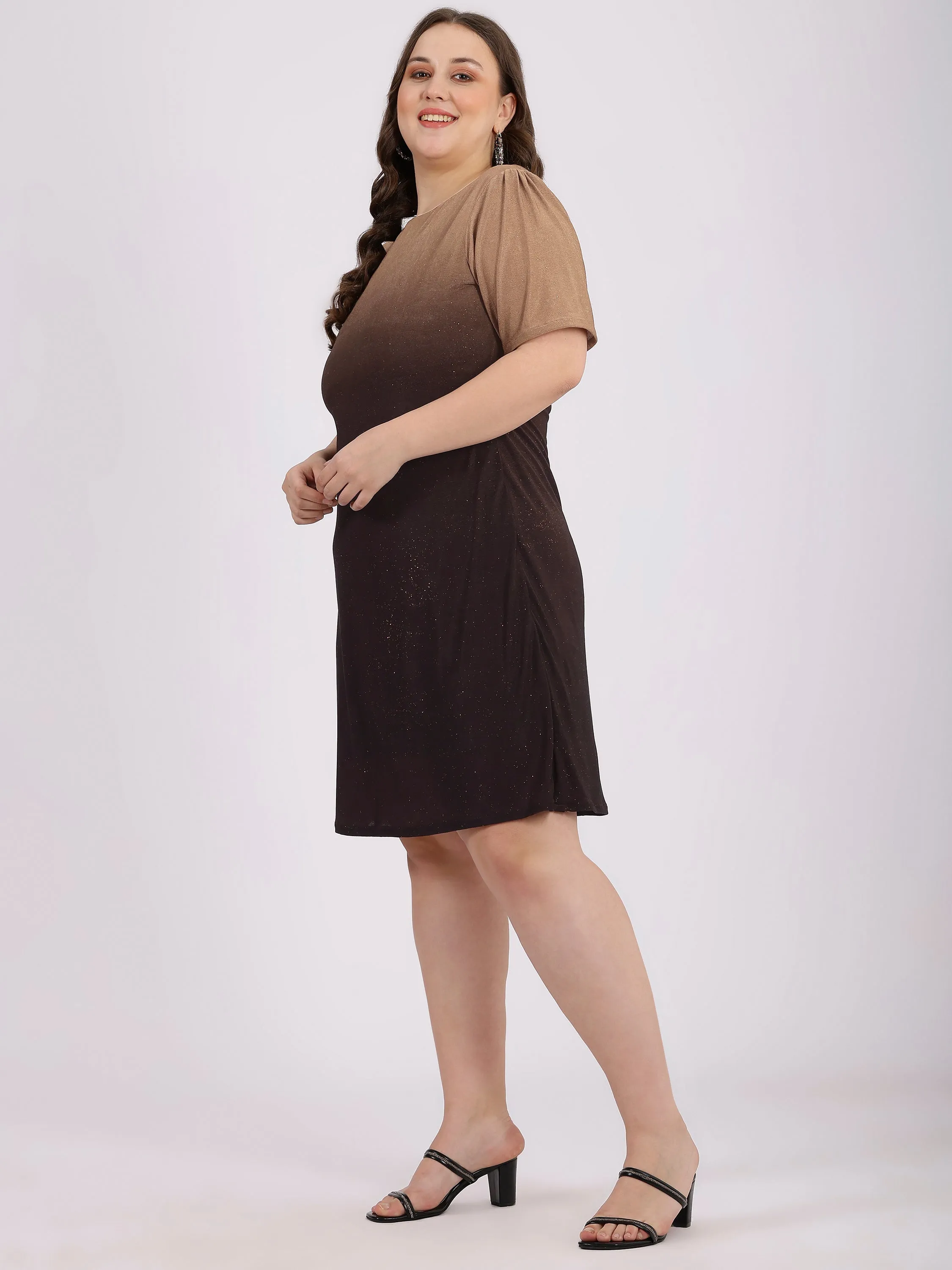 Brown Round Neck Knee-Length Party Dress