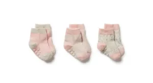 Cantaloupe 3 Pack Baby Socks